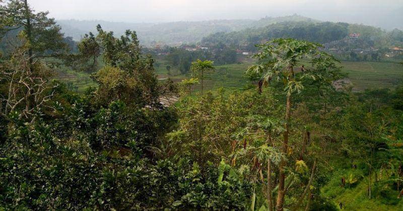 maps.google.com/Yosa